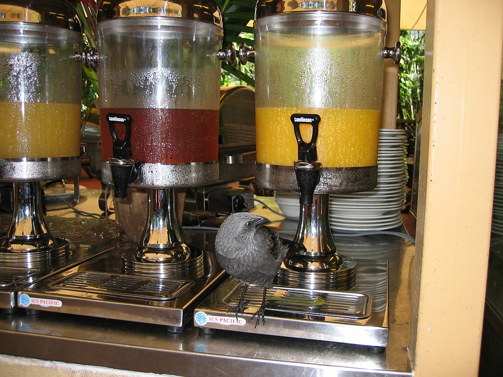 225 Wildlife Habitat Port Douglas.jpg